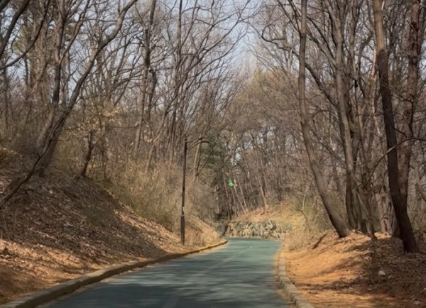 성사체육공원